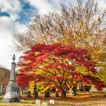 Gravestones at a cemetery in Autumn