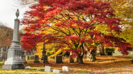 Gravestones at a cemetery in Autumn